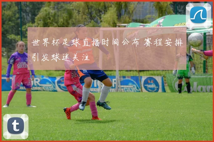 世界杯足球直播时间公布 赛程安排引发球迷关注