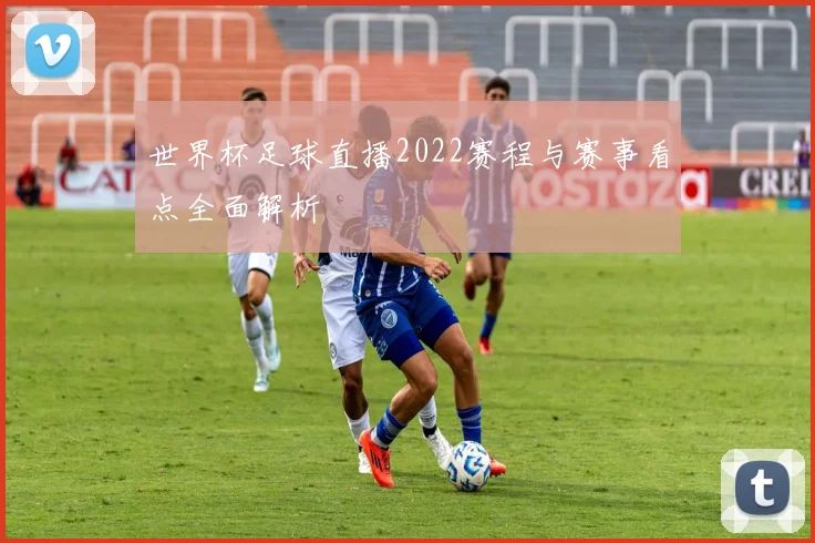 世界杯足球直播2022赛程与赛事看点全面解析