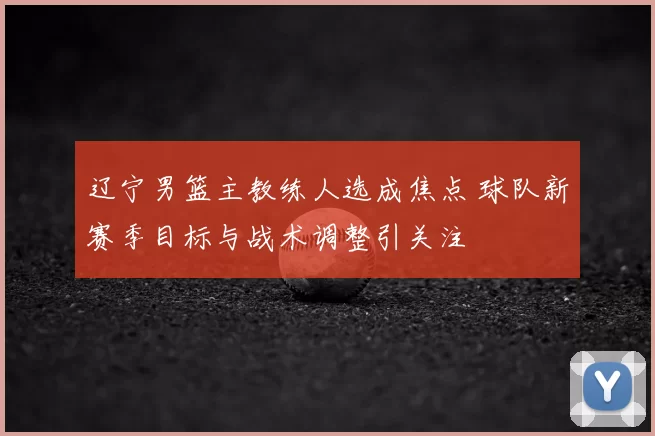 辽宁男篮主教练人选成焦点 球队新赛季目标与战术调整引关注