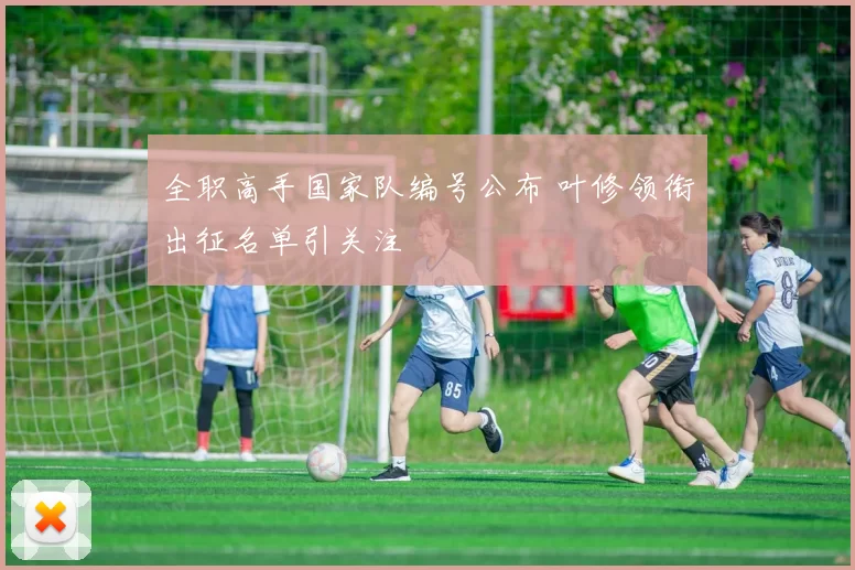 全职高手国家队编号公布 叶修领衔出征名单引关注