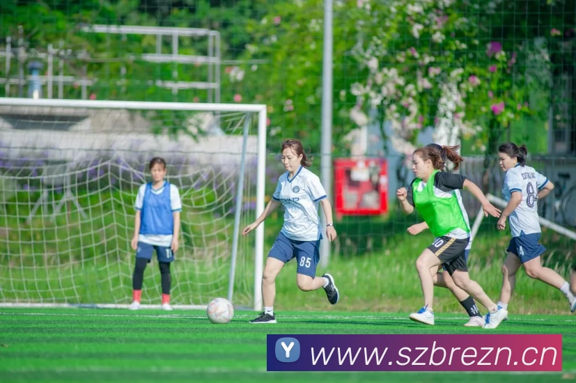 多媒体互动体验